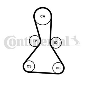 Acquista Cinghia dentata da CONTITECH CT1159 a buon mercato per soli 39,05 €