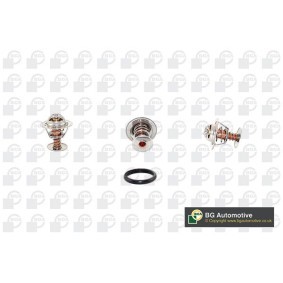 Achetez des Thermostat d'eau BGA CT5469 à prix pour 46,29 €