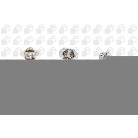 Thermostat von BGA für ESPRIT S2 günstig online kaufen