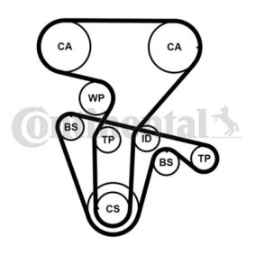 Achetez des Kit de distribution + pompe à eau CONTITECH CT877WP4PRO à prix pour 248,19 €