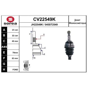 Gelenksatz, Antriebswelle CV22549K