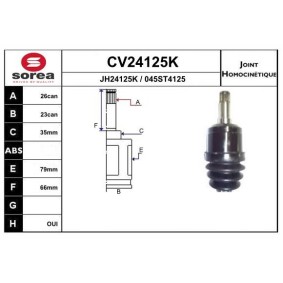 Acquista Kit giunti semiasse da EAI CV24125K a buon mercato per soli 112,96 €