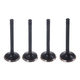 Osta Imuventtiili MASTER-SPORT:llä D-IN-SET/4/-MS edullisesti hintaan 11,53 €