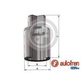 Kolben, Bremssattel D025640 von AUTOFREN SEINSA günstig für 8,47 € online kaufen