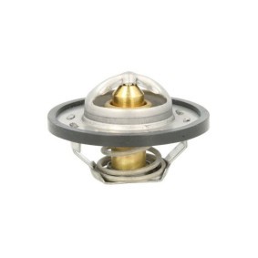 Achetez des Thermostat d'eau THERMOTEC D2R004TT à prix pour 9,04 €