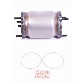 Katalysator DE6019T