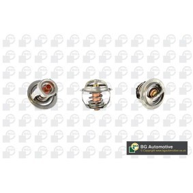 Acquista Puleggia cinghia albero a gomiti da BGA DP0201 a buon mercato per soli 121,95 €