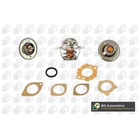 Acquista Puleggia cinghia albero a gomiti da BGA DP1006 a buon mercato per soli 130,71 €