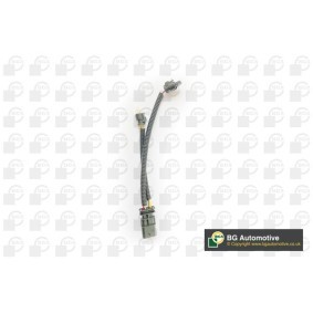 Acquista Puleggia cinghia albero a gomiti da BGA DP1092 a buon mercato per soli 133,75 €