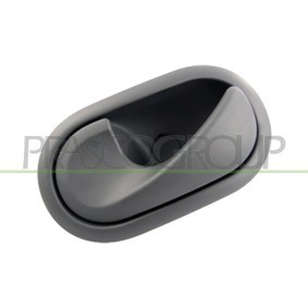 Acquista Portiera, Carrozzeria da PRASCO DS0053513 a buon mercato per soli 235,55 €