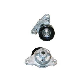 Acquista Rullo tenditore cinghia Poly-V da KAVO PARTS DTP-1002 a buon mercato per soli 49,00 €