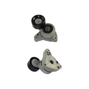 Spannrolle, Keilrippenriemen für HONDA von KAVO PARTS