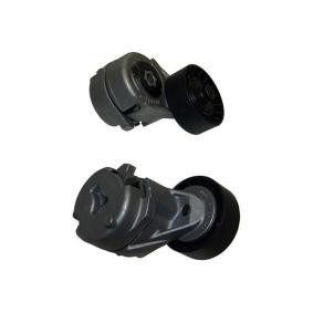 Spannrolle, Keilrippenriemen DTP-4004