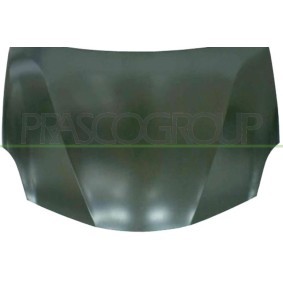 Achetez des Radiateur du moteur PRASCO DW007R001 à prix pour 195,23 €