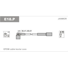 Zündleitungssatz E18.P