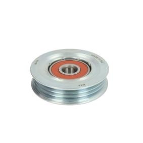 Spannrolle, Keilrippenriemen E22027BTA
