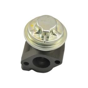 Acquista Valvola EGR da KAVO PARTS online per H100 Pick-up a prezzi moderati