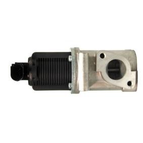 Comprar Válvula EGR de LIZARTE EGR002 a bajo precio de 133,83 €