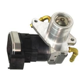 Comprar Válvula EGR de LIZARTE EGR015 a bajo precio de 342,95 €