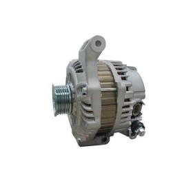 Lichtmaschine F 042 205 113