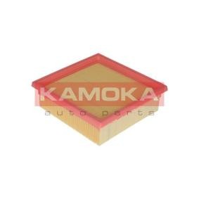 Luftfilter F213601