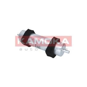 Kraftstofffilter F318501