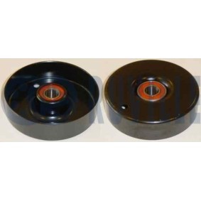 Umlenk- / Führungsrolle, Keilrippenriemen 55874