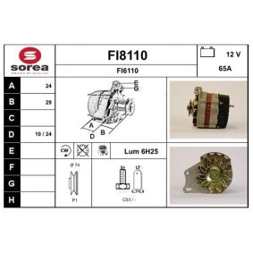 Lichtmaschine FI8110 für AUTOBIANCHI