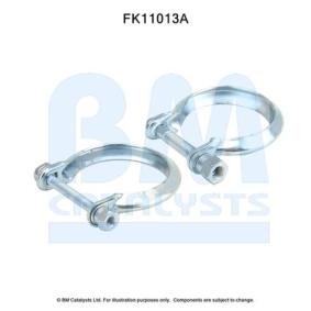 Flexrohr von BM CATALYSTS für Schrägheck (R56) günstig online kaufen