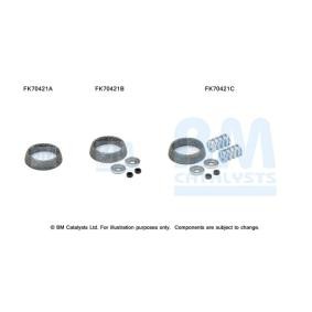 Compre Kit de montagem, tubo de escape da BM CATALYSTS FK70421 a um preço baixo por 6,65 €