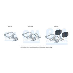 Compre Kit de montagem, catalisador da BM CATALYSTS FK80135 a um preço baixo por 7,22 €