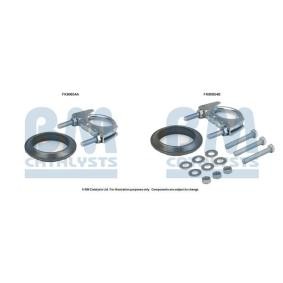 Compre Kit de montagem, catalisador da BM CATALYSTS FK90854 a um preço baixo por 10,44 €