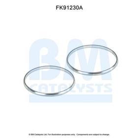 Montagesatz, Katalysator FK91230