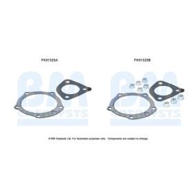 Compre Kit de montagem, catalisador da BM CATALYSTS FK91325 a um preço baixo por 17,14 €