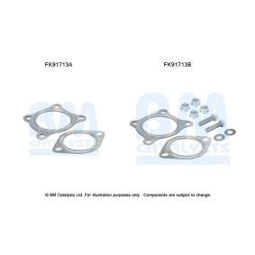 Compre Kit de montagem, catalisador da BM CATALYSTS FK91713 a um preço baixo por 11,55 €
