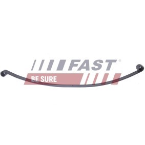 Federblatt von FAST