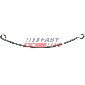 Federblatt von FAST