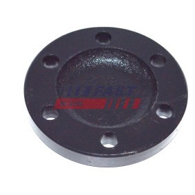 Schutzdeckel, Radnabe von FAST