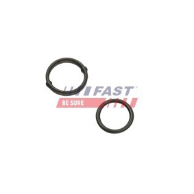 Compre Filtro de combustível da FAST FT39003 a um preço baixo por 15,90 €