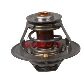 Kühlwasserthermostat FT58032