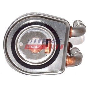 Compre Tubo flexível, permutador de calor do aquecimento da FAST FT61390 a um preço baixo por 15,74 €