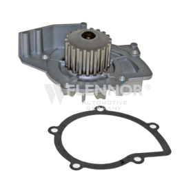 Achetez des Pompe à eau FLENNOR FWP70309 à prix pour 14,89 €