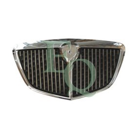 Kühlergrill G1457