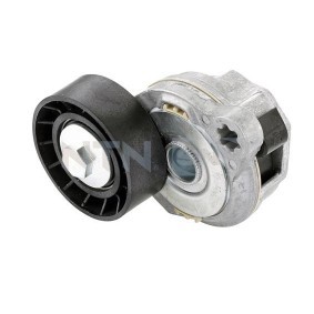 Compre Polea tensora, correa poli V de SNR online para S60 II Cross Country (134) a precios moderados