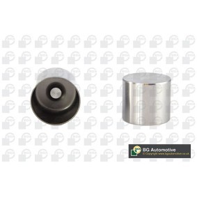 Hydrostößel für VAUXHALL von BGA