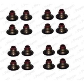 Comprar Juego de juntas, vástago de válvula de PAYEN HR5127 a bajo precio de 36,03 €