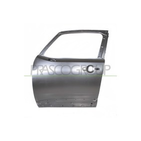 Kühlergrill IZ8122021