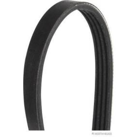 Acquista Cinghia servizi da HERTH+BUSS JAKOPARTS J1040773 a buon mercato per soli 9,74 €