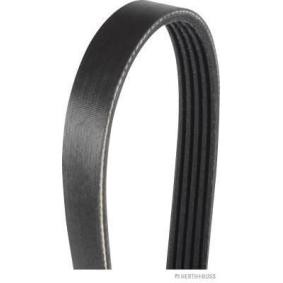 Acquista Cinghia servizi da HERTH+BUSS JAKOPARTS J1051453 a buon mercato per soli 15,94 €