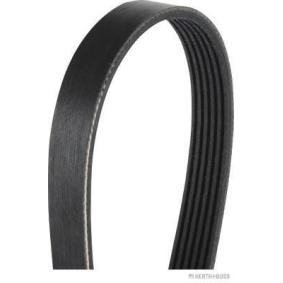 Acquista Cinghia servizi da HERTH+BUSS JAKOPARTS J1061210 a buon mercato per soli 14,01 €